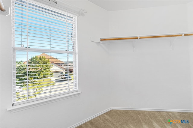 walk in closet with carpet floors