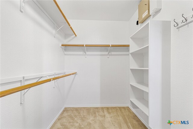 spacious closet with light carpet