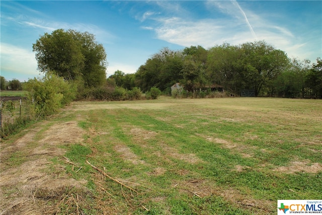 view of yard with a rural view