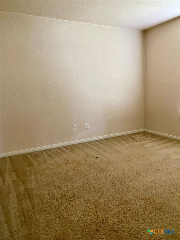 spare room with carpet floors