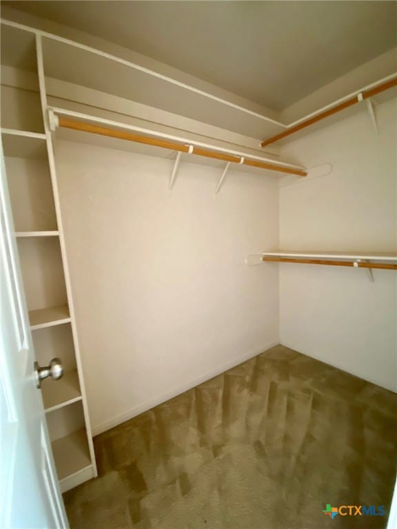 walk in closet featuring carpet flooring