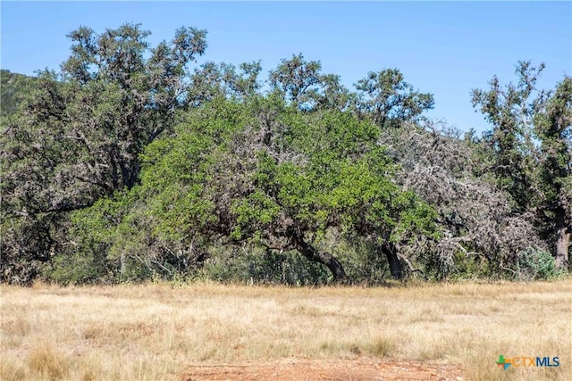 Listing photo 3 for 775 Powers Ranch Rd, Leakey TX 78873