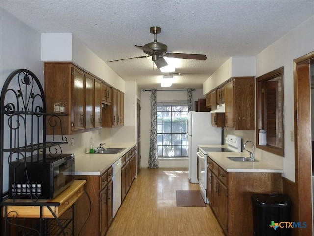 kitchen with white appliances, light countertops, a sink, and under cabinet range hood