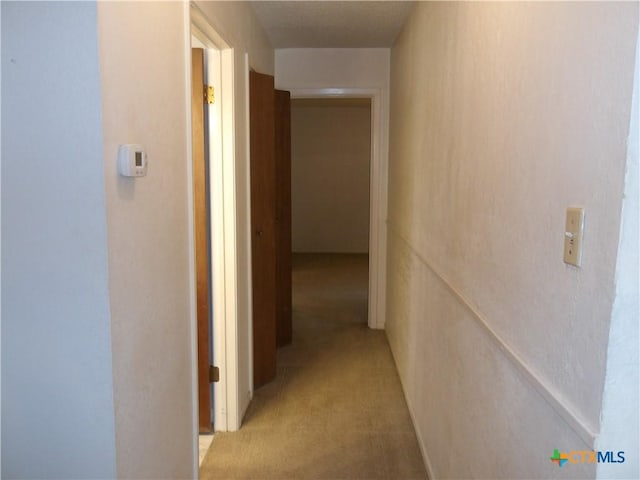 corridor with light colored carpet