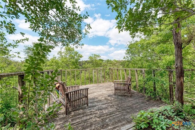 12326 Hanging Valley Dr, Austin, TX 78726 - photo 34
