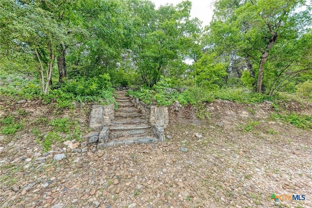 12326 Hanging Valley Dr, Austin, TX 78726 - photo 33