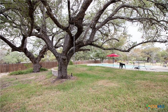 view of yard featuring a fenced in pool