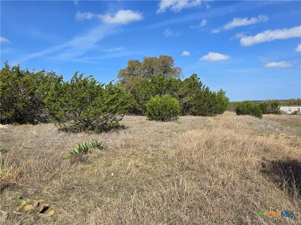 5930 Fm 3481, Salado, TX 76571 - photo 4