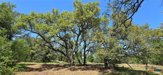TBD Rosanky Rd Unit 4, Holland, TX 76534 - photo 7