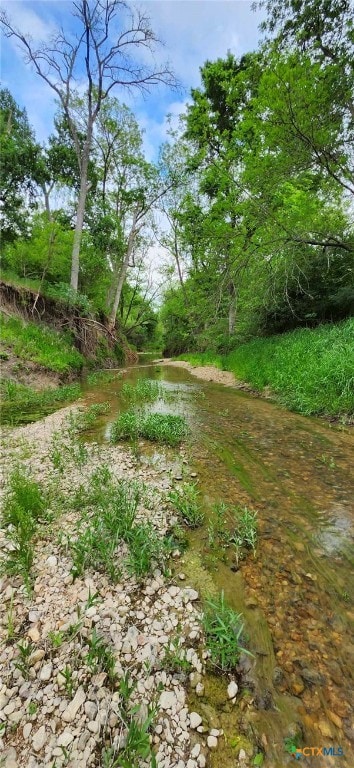 TBD Rosanky Rd Unit 4, Holland, TX 76534 - photo 2