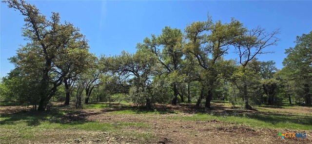 TBD Rosanky Rd Unit 4, Holland, TX 76534 - photo 12