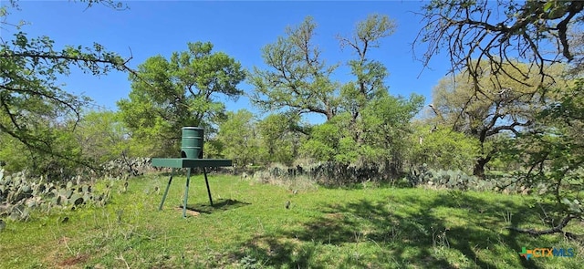 TBD Rosanky Rd Unit 4, Holland, TX 76534 - photo 5