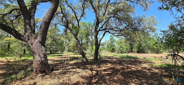 TBD Rosanky Rd Unit 4, Holland, TX 76534 - photo 6