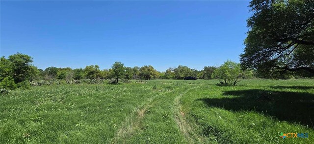 TBD Rosanky Rd Unit 4, Holland, TX 76534 - photo 4
