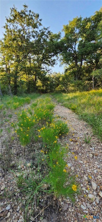 TBD Rosanky Rd Unit 4, Holland, TX 76534 - photo 3