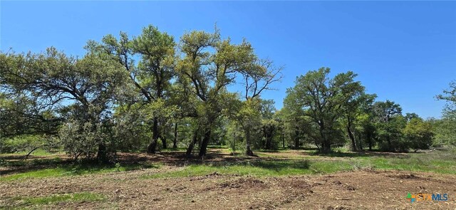 TBD Rosanky Rd Unit 4, Holland, TX 76534 - photo 11