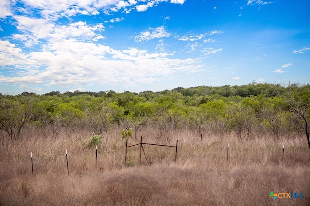 2811 Harris Hill Rd, San Marcos, TX 78666 - photo 8