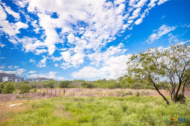 2811 Harris Hill Rd, San Marcos, TX 78666 - photo 22