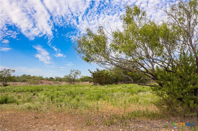 2811 Harris Hill Rd, San Marcos, TX 78666 - photo 18