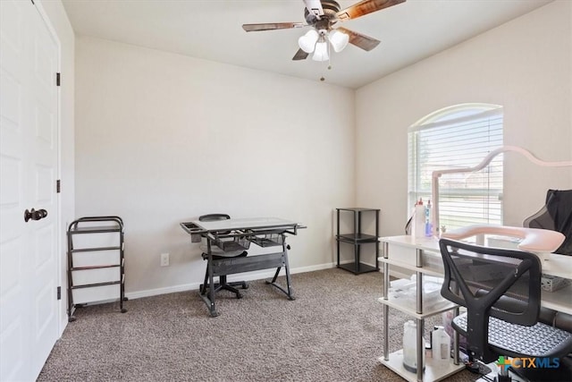 6407 Serpentine Dr, Killeen, TX 76542 - office space featuring a ceiling fan and carpet flooring