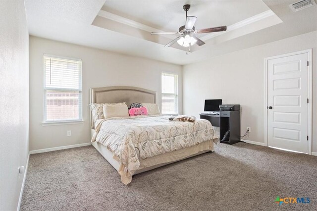 6407 Serpentine Dr, Killeen, TX 76542 - bedroom with a tray ceiling, multiple windows, carpet flooring, ceiling fan, and crown molding