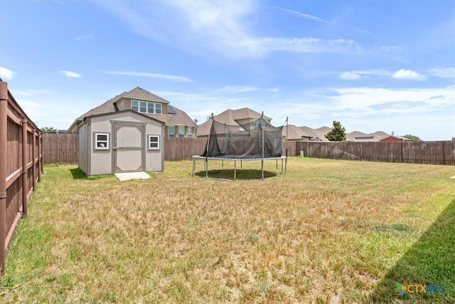 6407 Serpentine Dr, Killeen, TX 76542 - fenced backyard featuring a trampoline and a shed