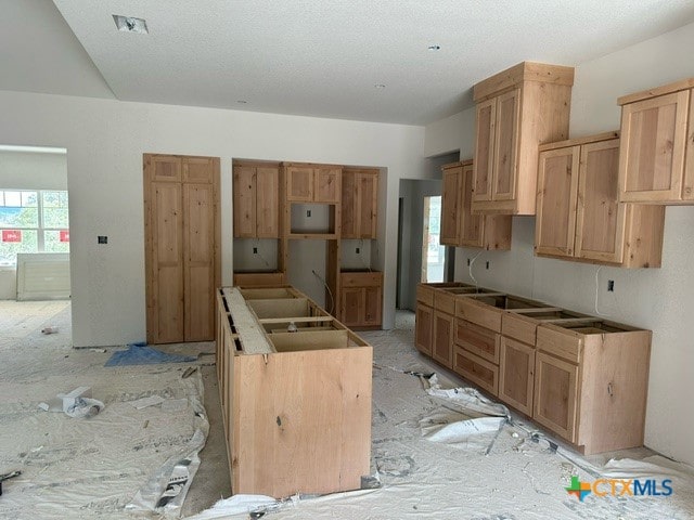 kitchen featuring light colored carpet