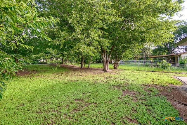 1504 Phyllis Dr, Copperas Cove, TX 76522 - view of yard