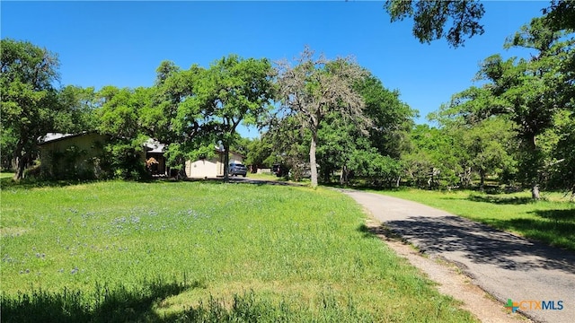 120 Pioneer Trl, San Marcos, TX 78666 - photo 1