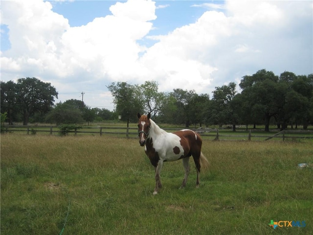 120 Pioneer Trl, San Marcos, TX 78666 - photo 10