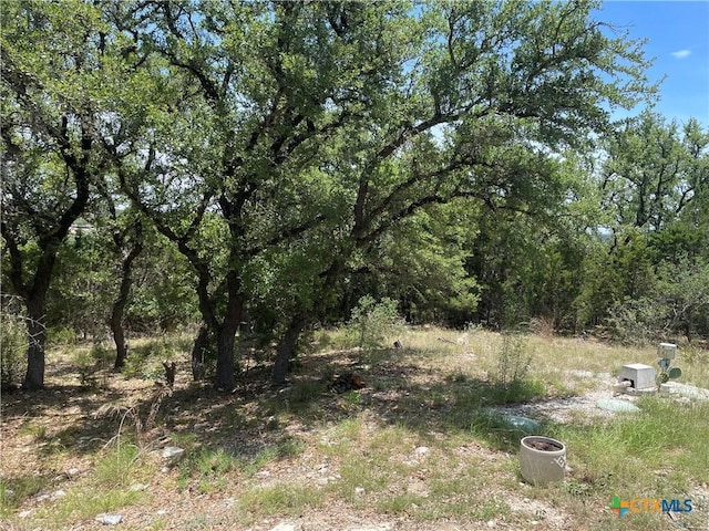 1131 Rocky Ridge Loop, Canyon Lake, TX 78133 - photo 14