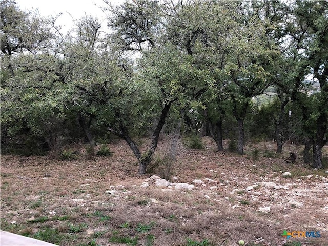 1131 Rocky Ridge Loop, Canyon Lake, TX 78133 - photo 12