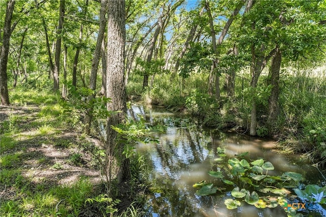 view of nature featuring a forest view