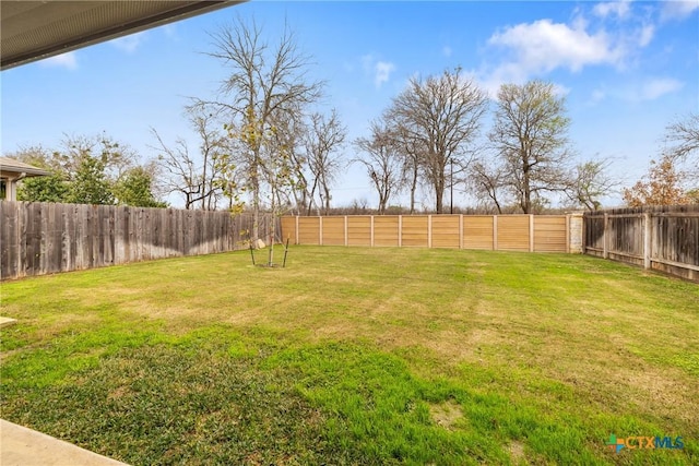 837 Margay Loop, Seguin, TX 78155 - view of yard