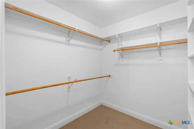 walk in closet featuring carpet flooring