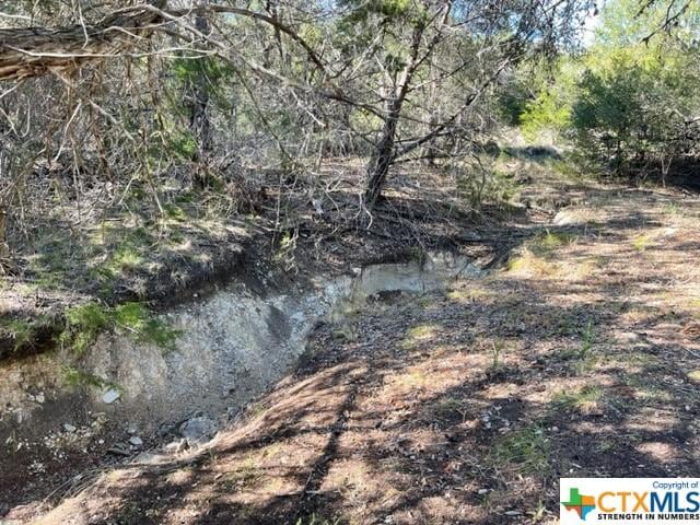TBD Red Corral Ranch Rd, Wimberley, TX 78676 - photo 13