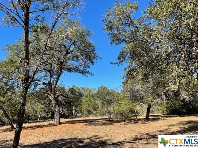 TBD Red Corral Ranch Rd, Wimberley, TX 78676 - photo 6