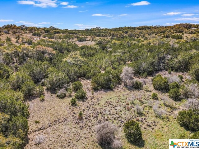 TBD Red Corral Ranch Rd, Wimberley, TX 78676 - photo 17