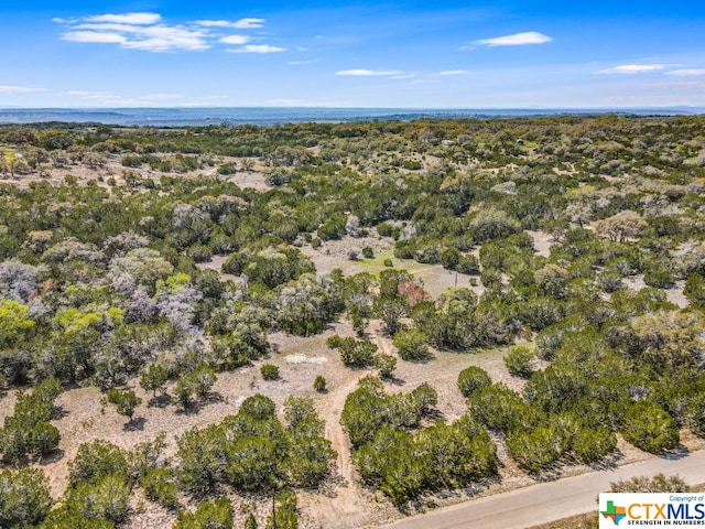 Listing photo 3 for TBD Red Corral Ranch Rd, Wimberley TX 78676