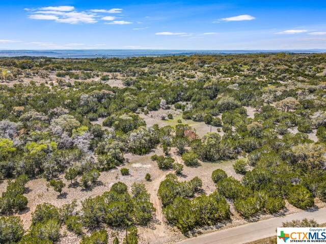 TBD Red Corral Ranch Rd, Wimberley, TX 78676 - photo 3