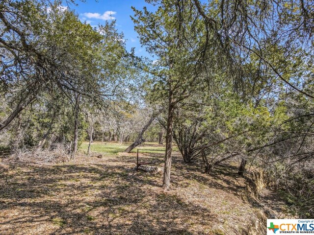 TBD Red Corral Ranch Rd, Wimberley, TX 78676 - photo 10
