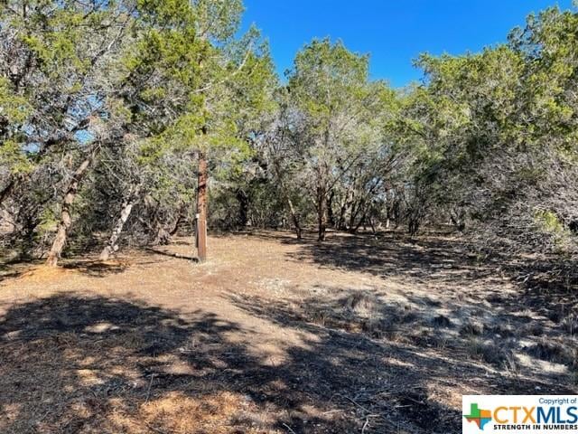 TBD Red Corral Ranch Rd, Wimberley, TX 78676 - photo 4