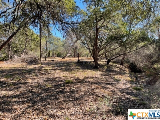 TBD Red Corral Ranch Rd, Wimberley, TX 78676 - photo 11