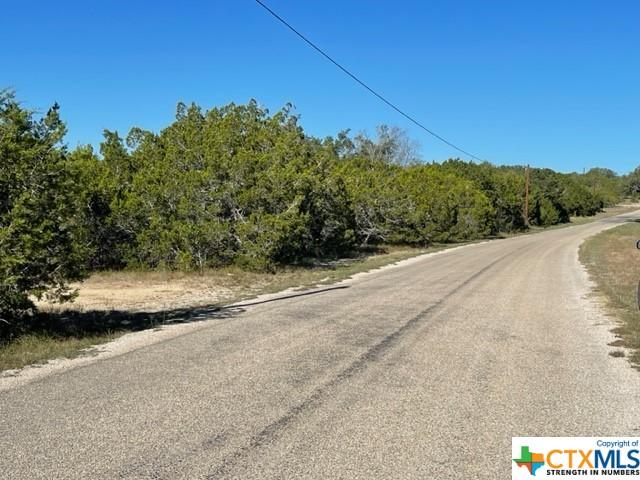 TBD Red Corral Ranch Rd, Wimberley, TX 78676 - photo 2