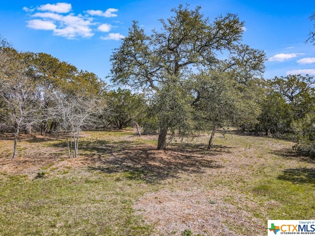 TBD Red Corral Ranch Rd, Wimberley, TX 78676 - photo 8