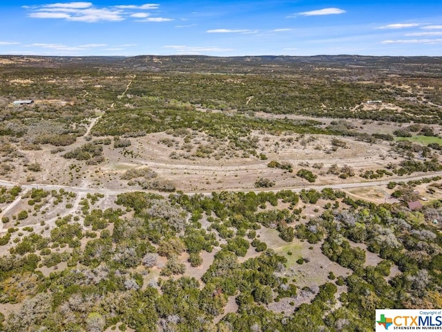 TBD Red Corral Ranch Rd, Wimberley, TX 78676 - photo 16