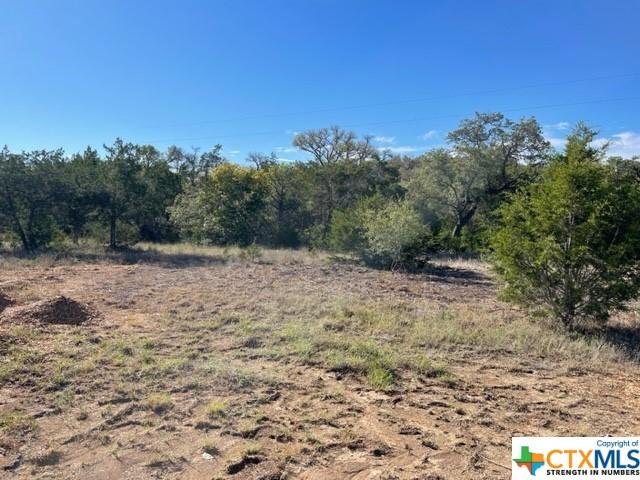 TBD Red Corral Ranch Rd, Wimberley, TX 78676 - photo 7
