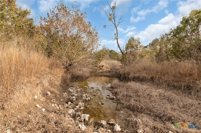 view of nature