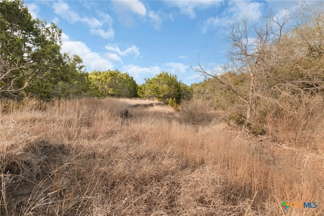 view of nature