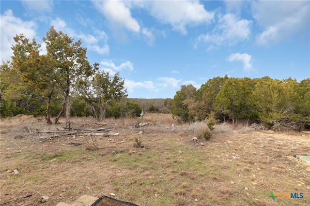 view of local wilderness